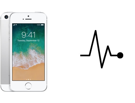iPhone Diagnose / Kostenvoranschlag, iPhone 5s/SE