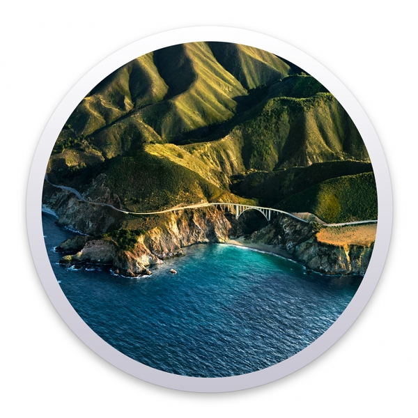 Apple macOS Big Sur Installations-Medium